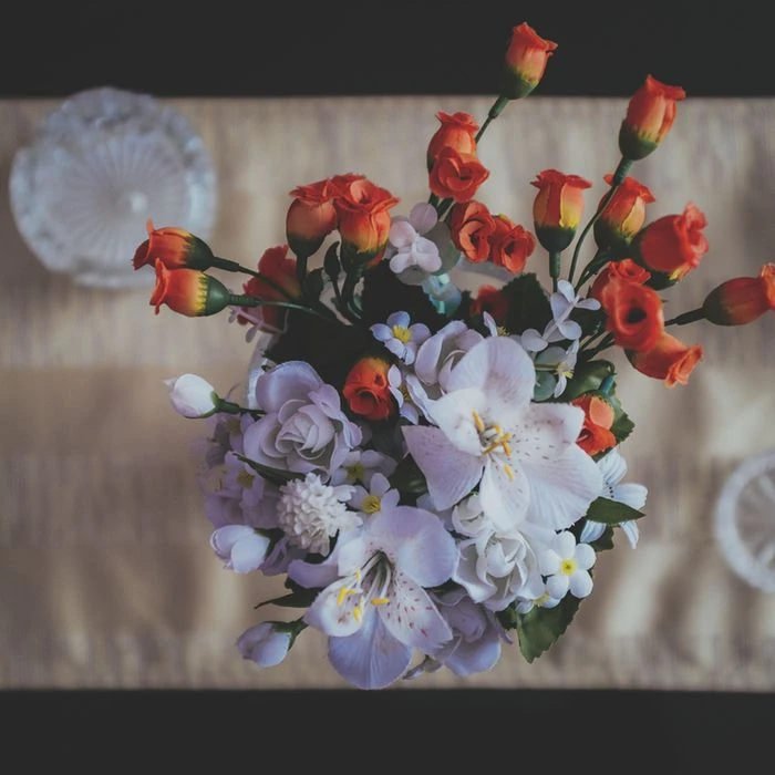 Ludie Hane